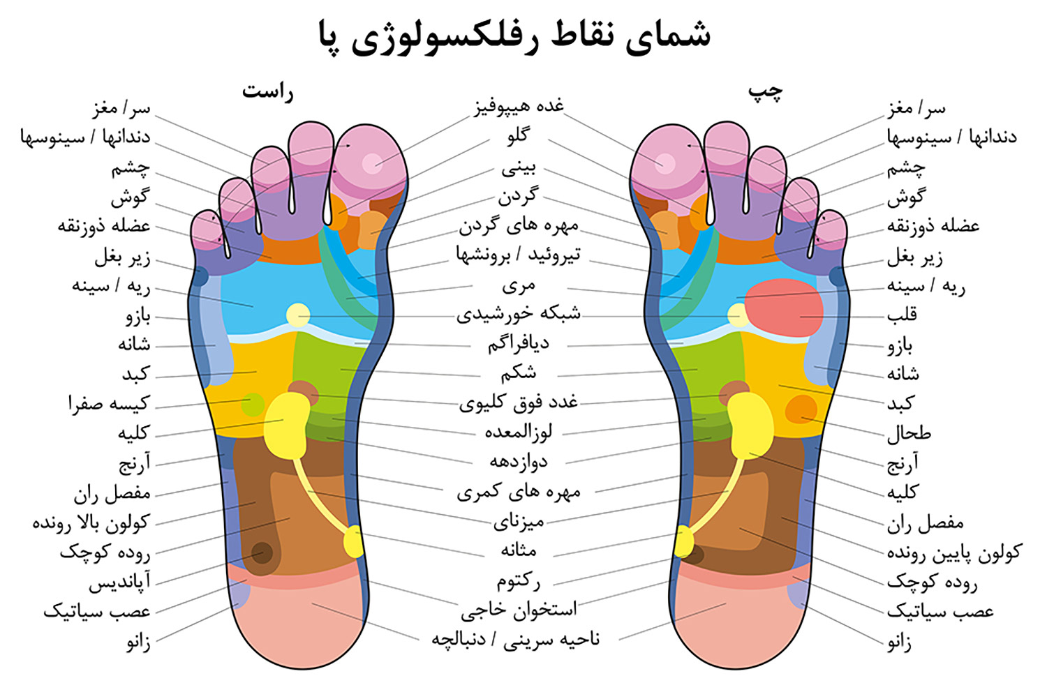 هر قسمت از کف پا