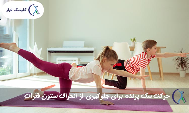 حرکت سگ پرنده برای جلوگیری از انحراف ستون فقرات