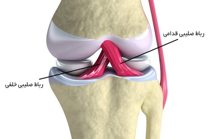 رباط صلیبی چیست