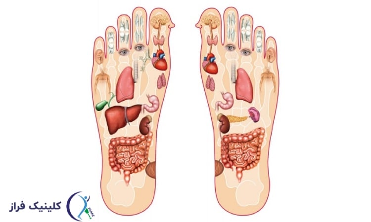 محل قرارگیری قلب در پا