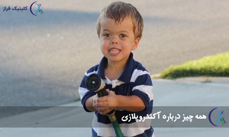 آکندروپلازی
