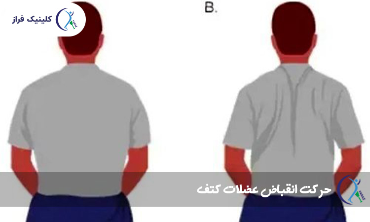 حرکت انقباض عضلات کتف برای درمان افتادگی شانه