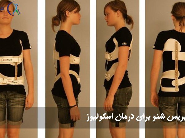بریس شنو