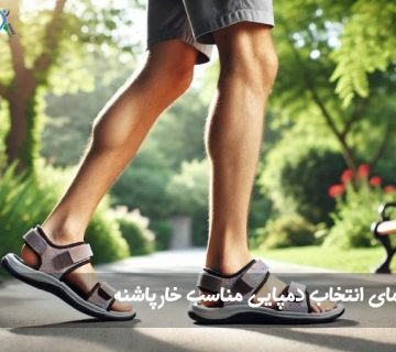 صندل خارپاشنه