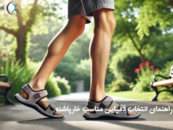 صندل خارپاشنه