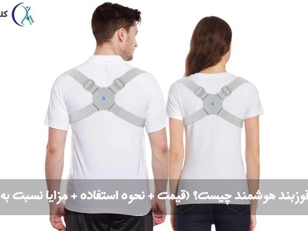 قوزبند هوشمند
