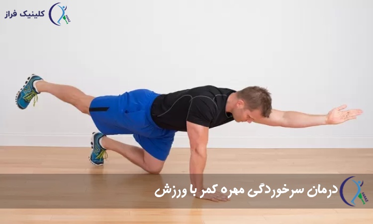 تمرین سگ پرنده 