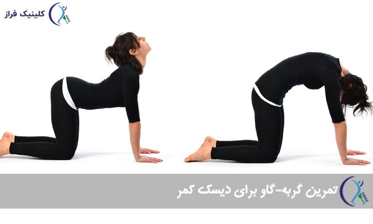 تمرین گربه-گاو