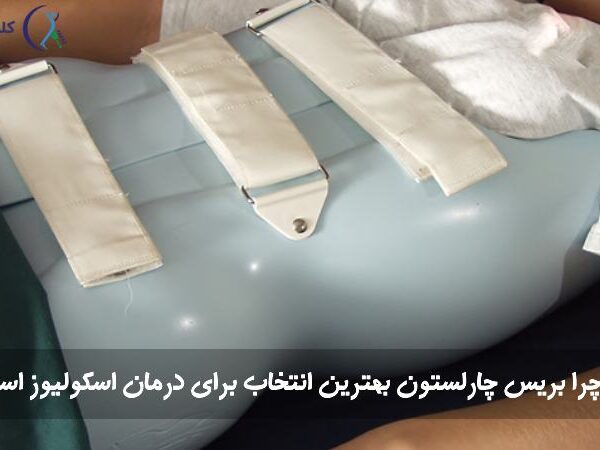 بریس چارلستون